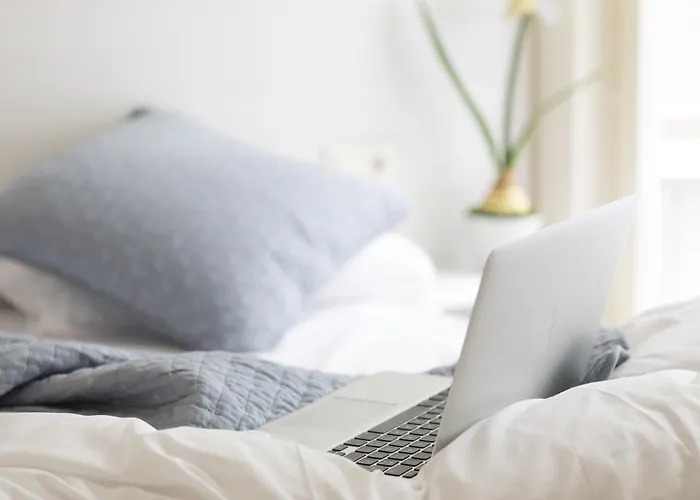 Bravissimo Cort Reial-2b *